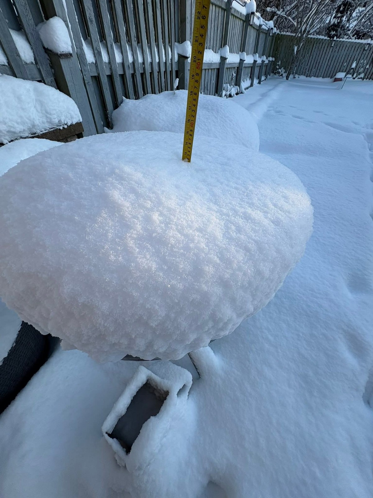 Neve Aberdeenshire