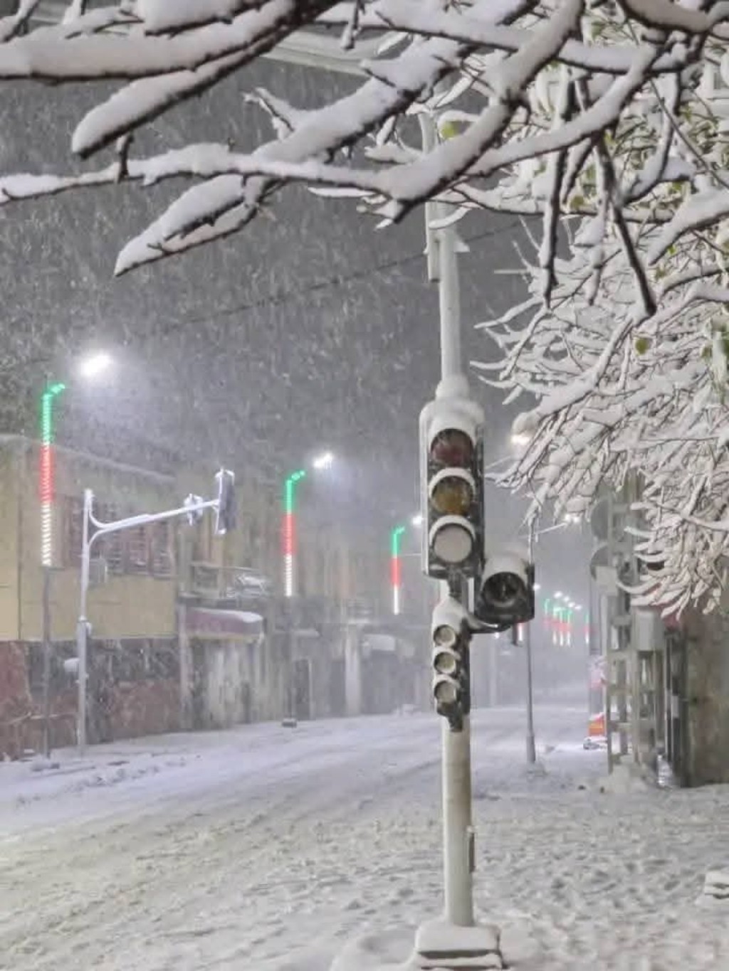 Neve Algeria Tiaret