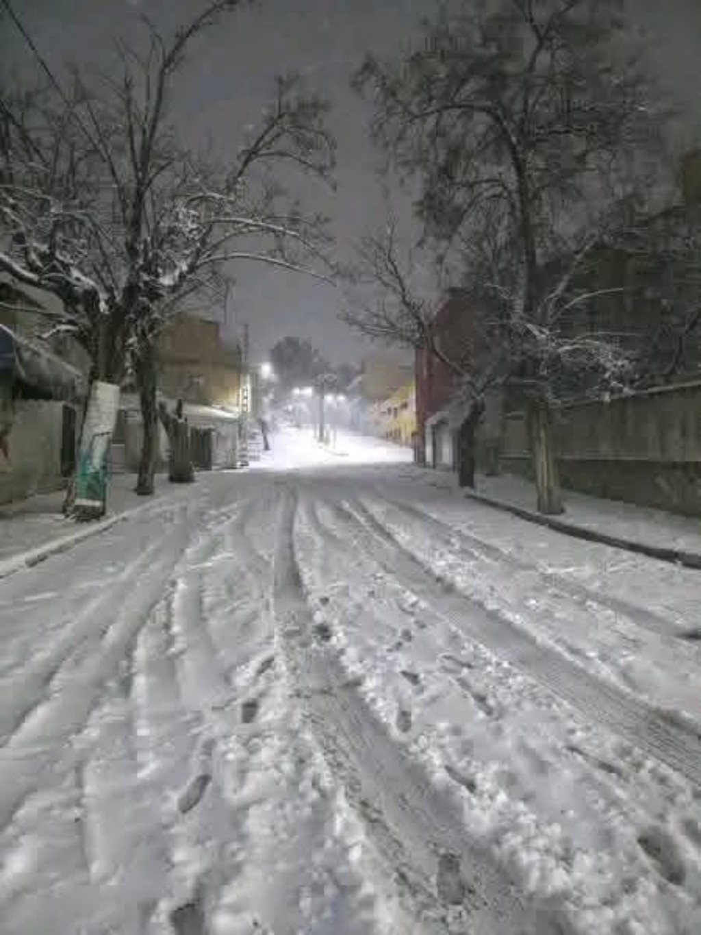 Neve Algeria Tiaret