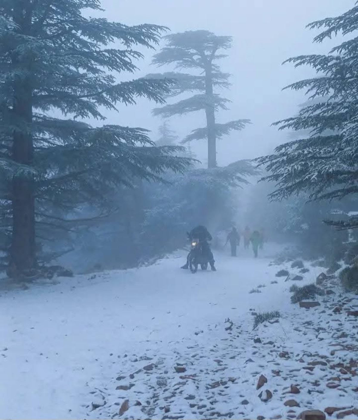 Neve Algeria