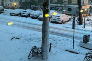 Neve Amburgo