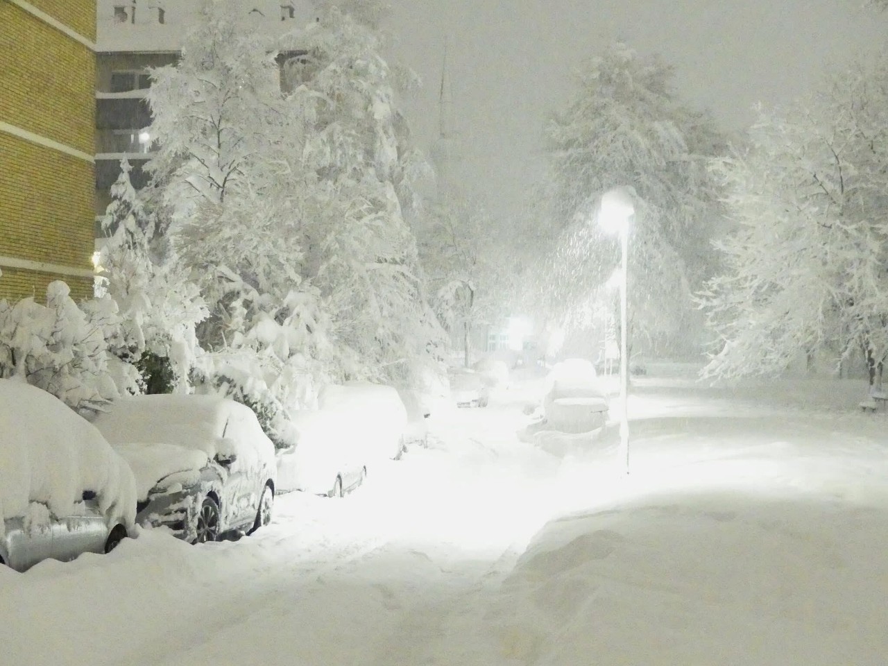Neve Bosnia Sarajevo