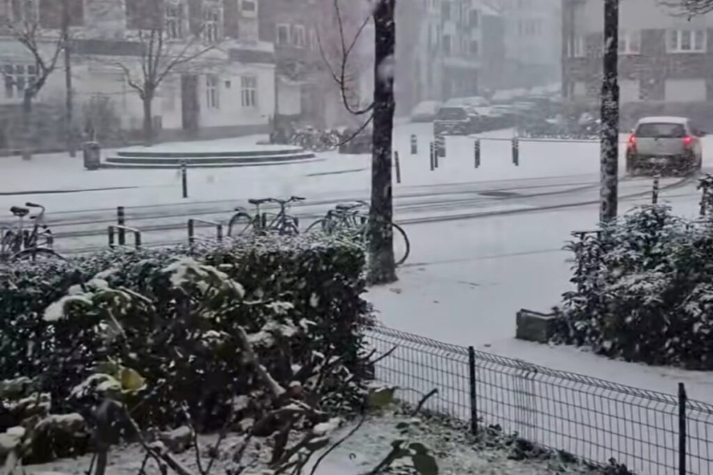 Neve Bruxelles