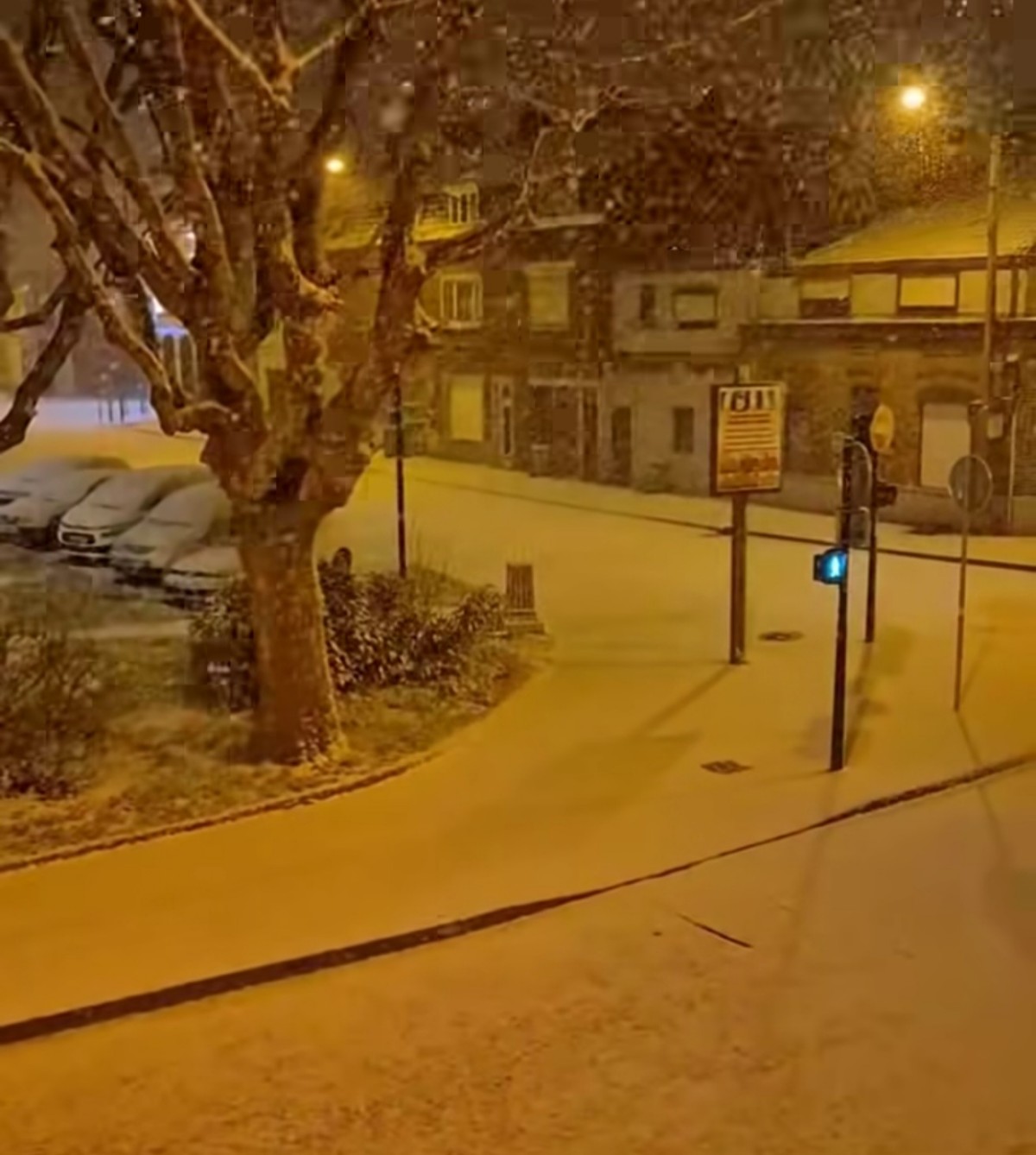 Neve Lille