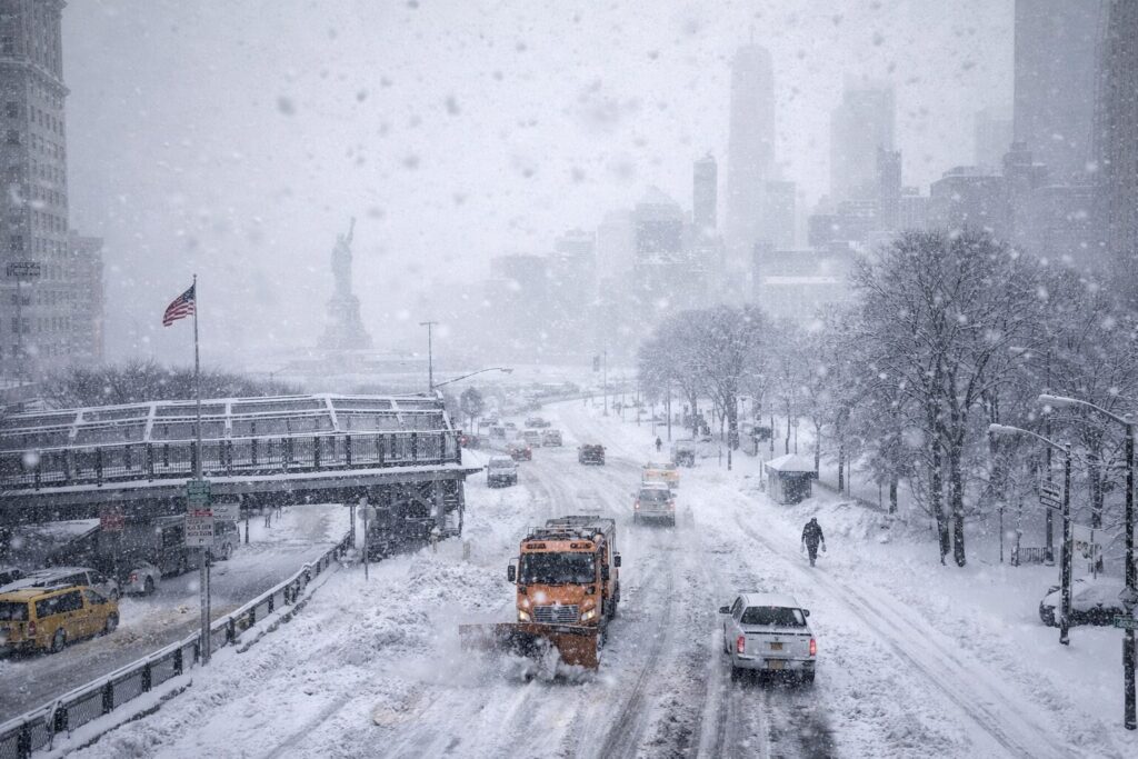 Neve New York