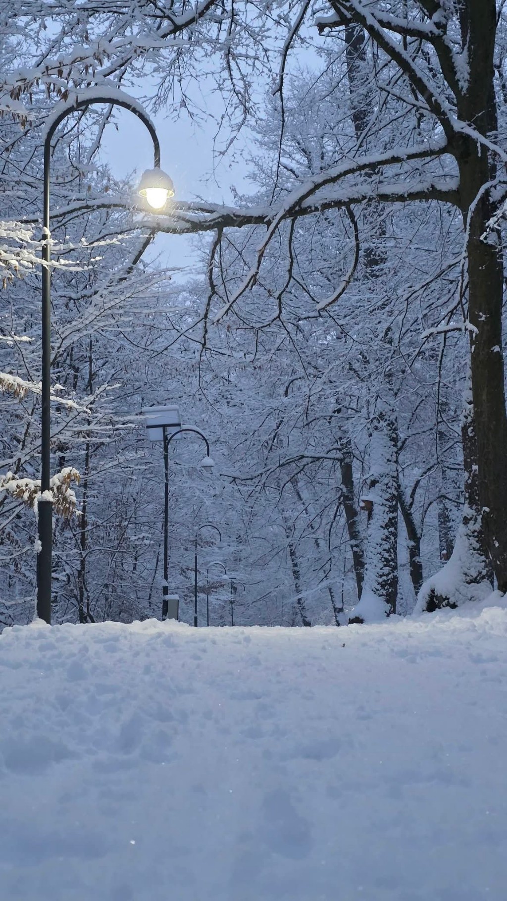 Neve Romania Cluj 2 gennaio 