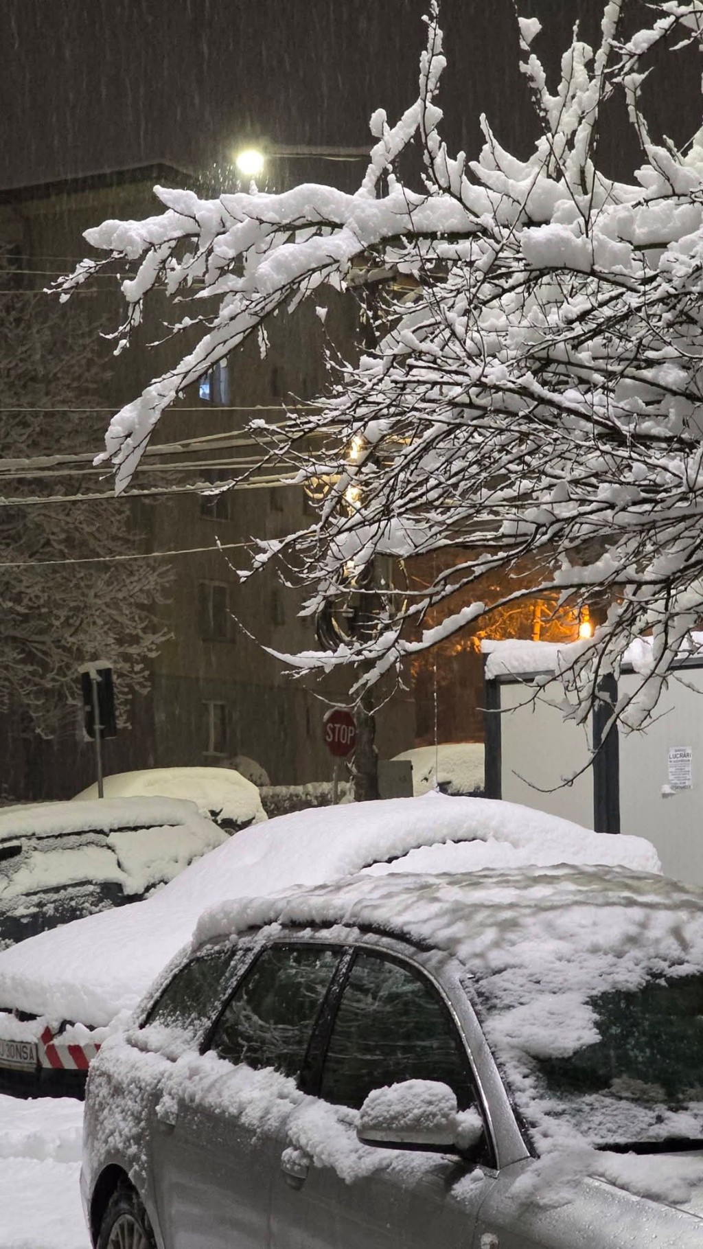 Neve Romania Cluj