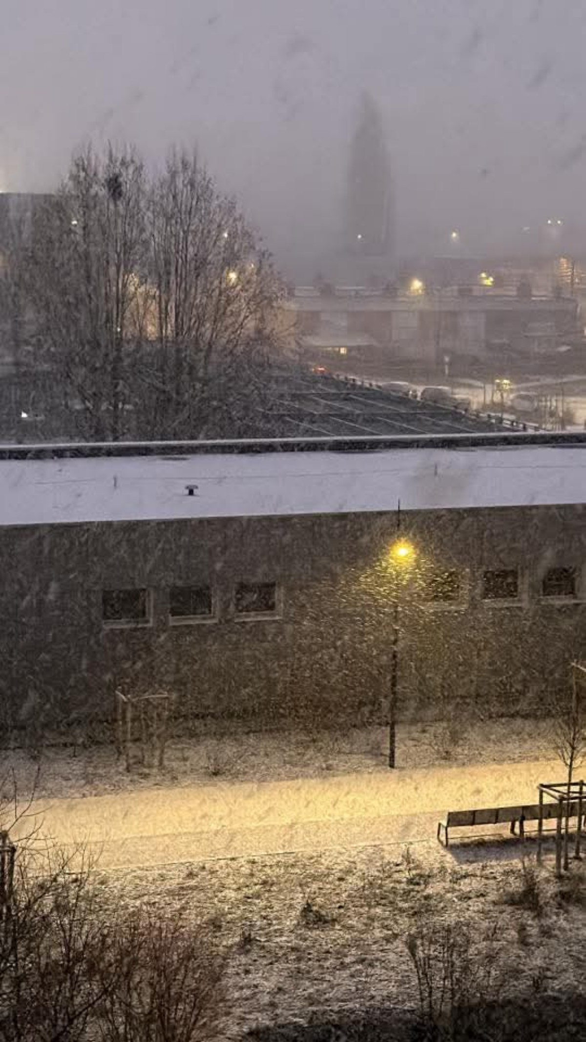 Neve Valenciennes