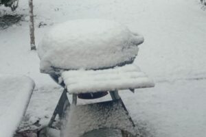 Neve Emilia Romagna Ferrara