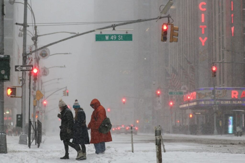 Neve New York