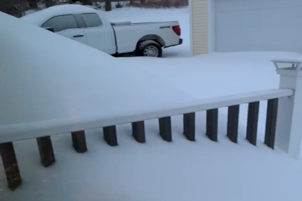 Neve USA Derby Connecticut