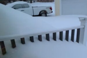 Neve USA Derby Connecticut