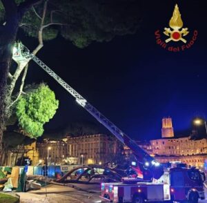 albero fori imperiali roma
