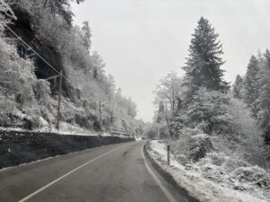 allerta meteo neve trentino