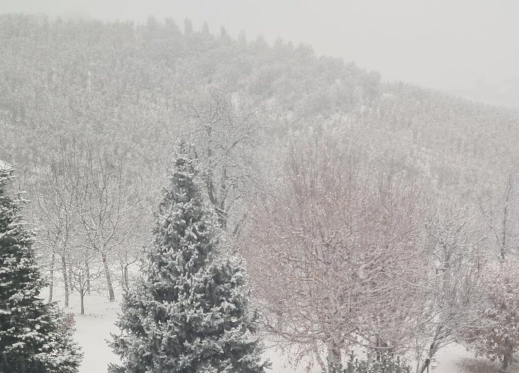allerta meteo trentino neve