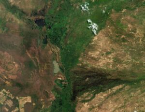 brasile pantanal