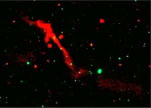buco nero nella galassia J1007+3540