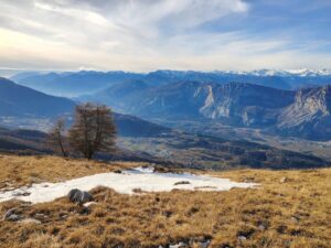 report dicembre 2025 trentino
