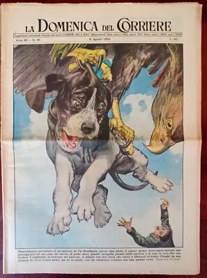 domnenica del corriere aquila rapisce cane