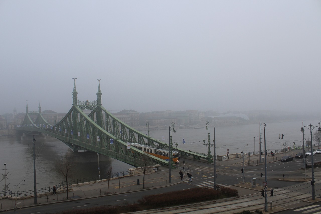 Nebbia Danubio 