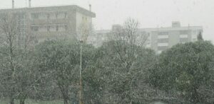 fiocchi neve