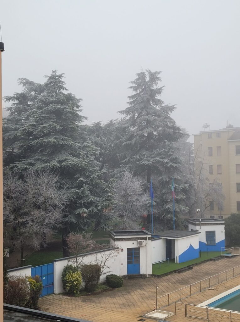 galaverna novara