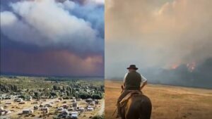 incendi argentina