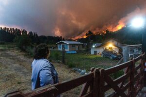 incendi argentina