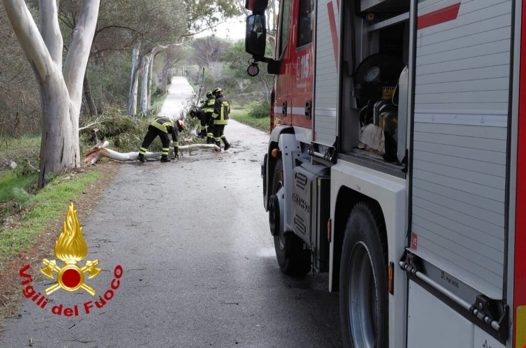 maltempo albero vigili fuoco