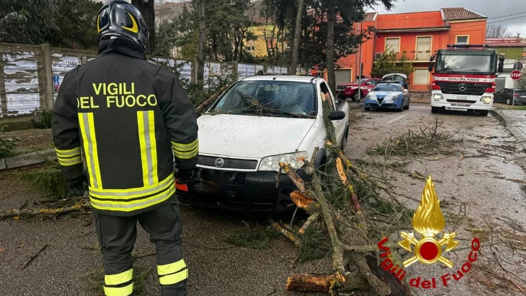 maltempo albero vigili fuoco