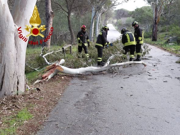 maltempo albero vigili fuoco