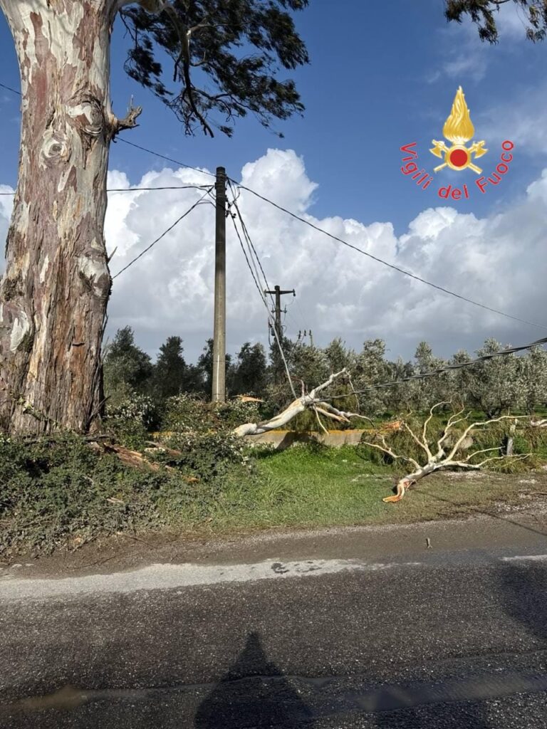 maltempo calabria