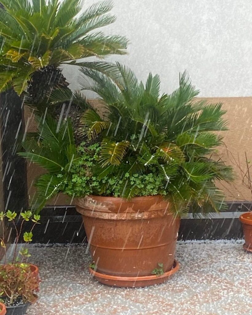 maltempo grandine monreale sicilia