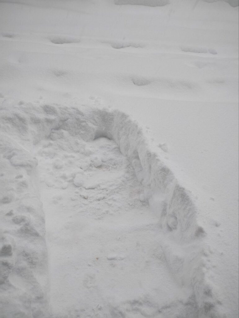 maltempo neve giappone sapporo