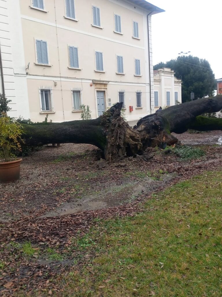 maltempo toscana