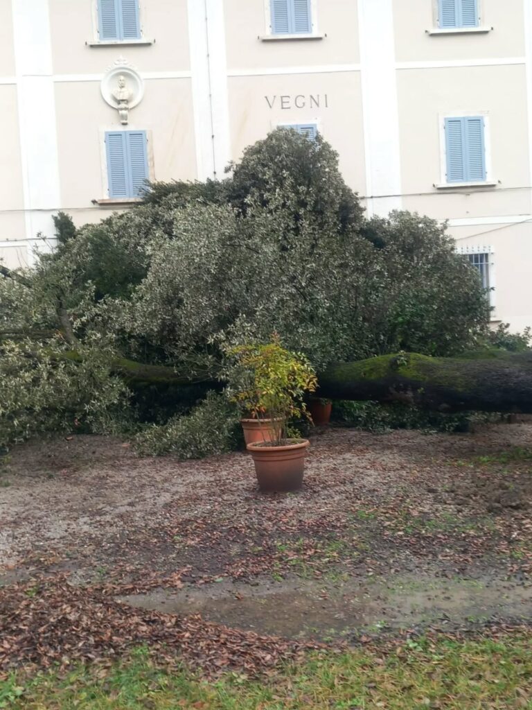 maltempo toscana