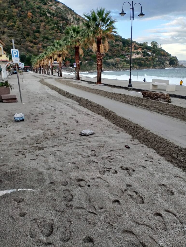 mareggiata scilla