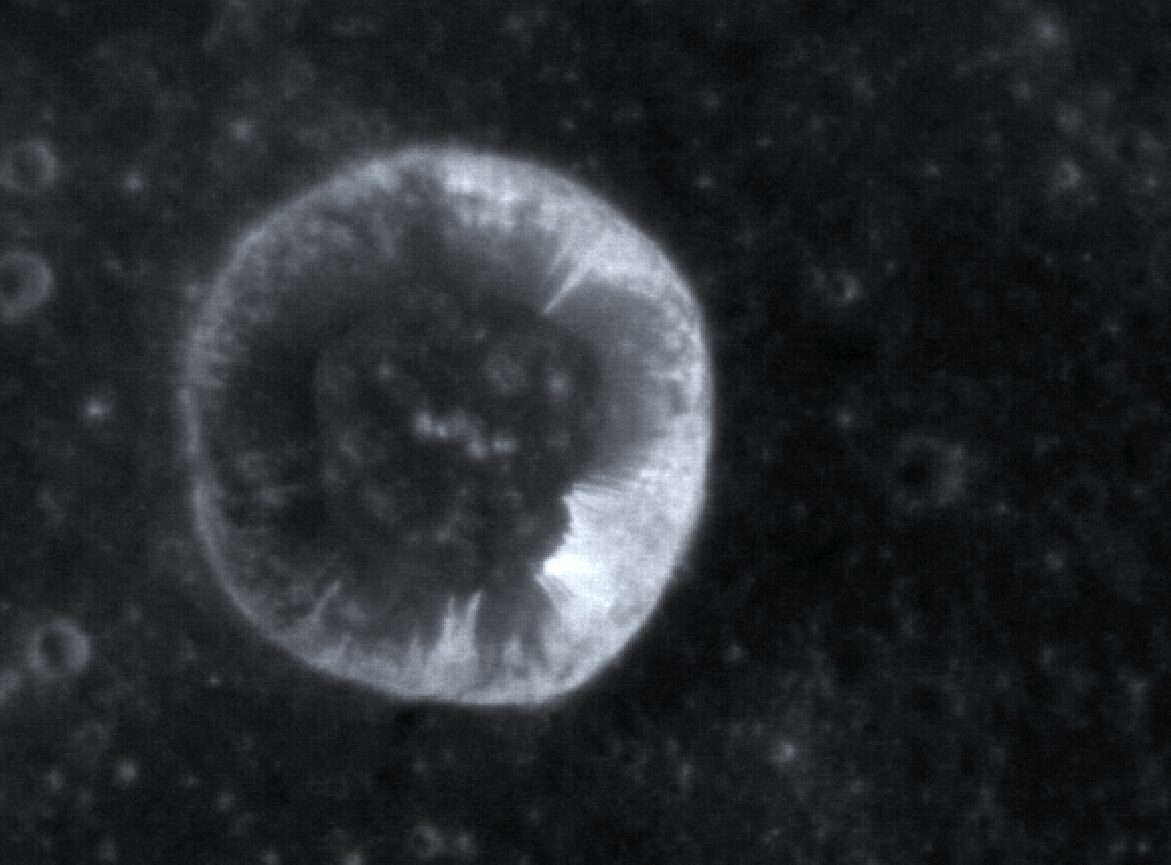 mercurio
