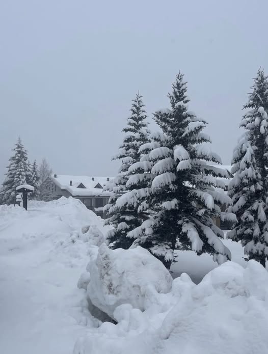 neve Bersezio piemonte