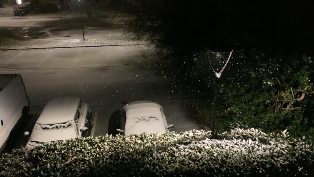 neve Savio di Ravenna