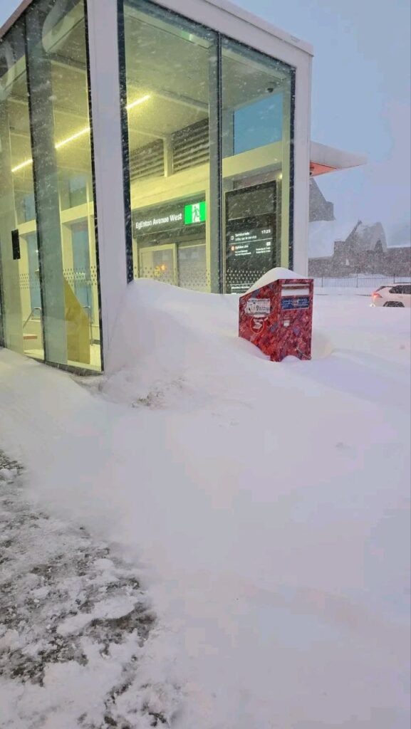neve toronto canada