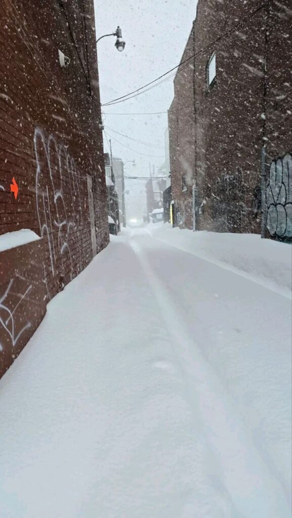 neve toronto canada