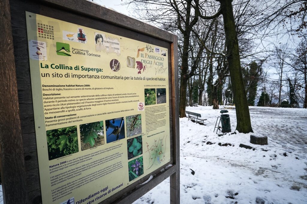 Neve sulla collina di Torino