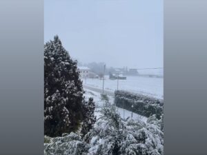 neve emilia romagna oggi