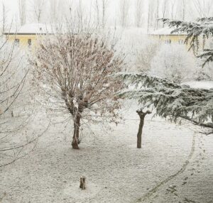 neve da nebbia ferrara