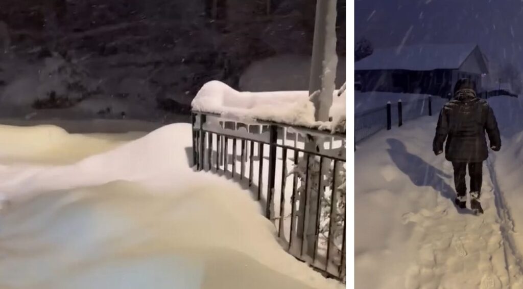 neve francia