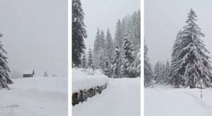 neve friuli