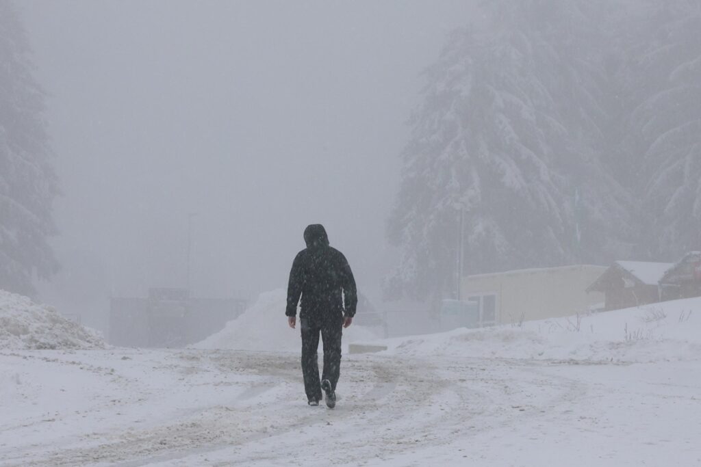 neve germania