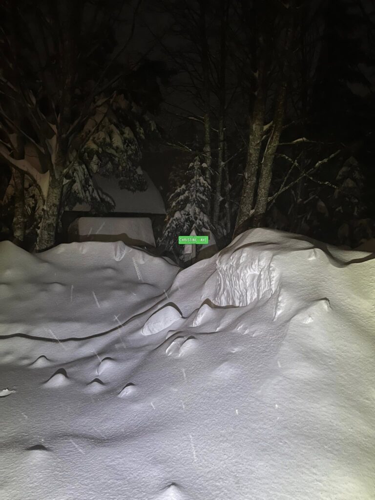 neve juneau alaska