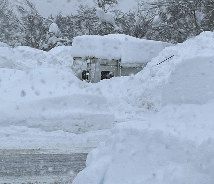 neve juneau alaska